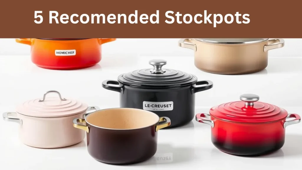 Collection of the top 5 recommended stockpots for large families